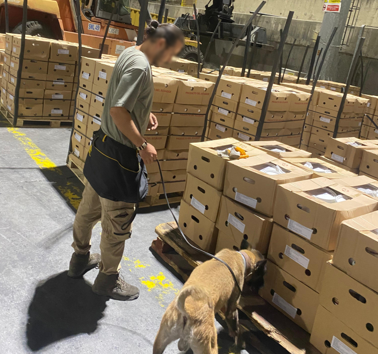 Türkiye ile İspanya'dan ortak operasyon: 1,7 ton kokain ele geçirildi